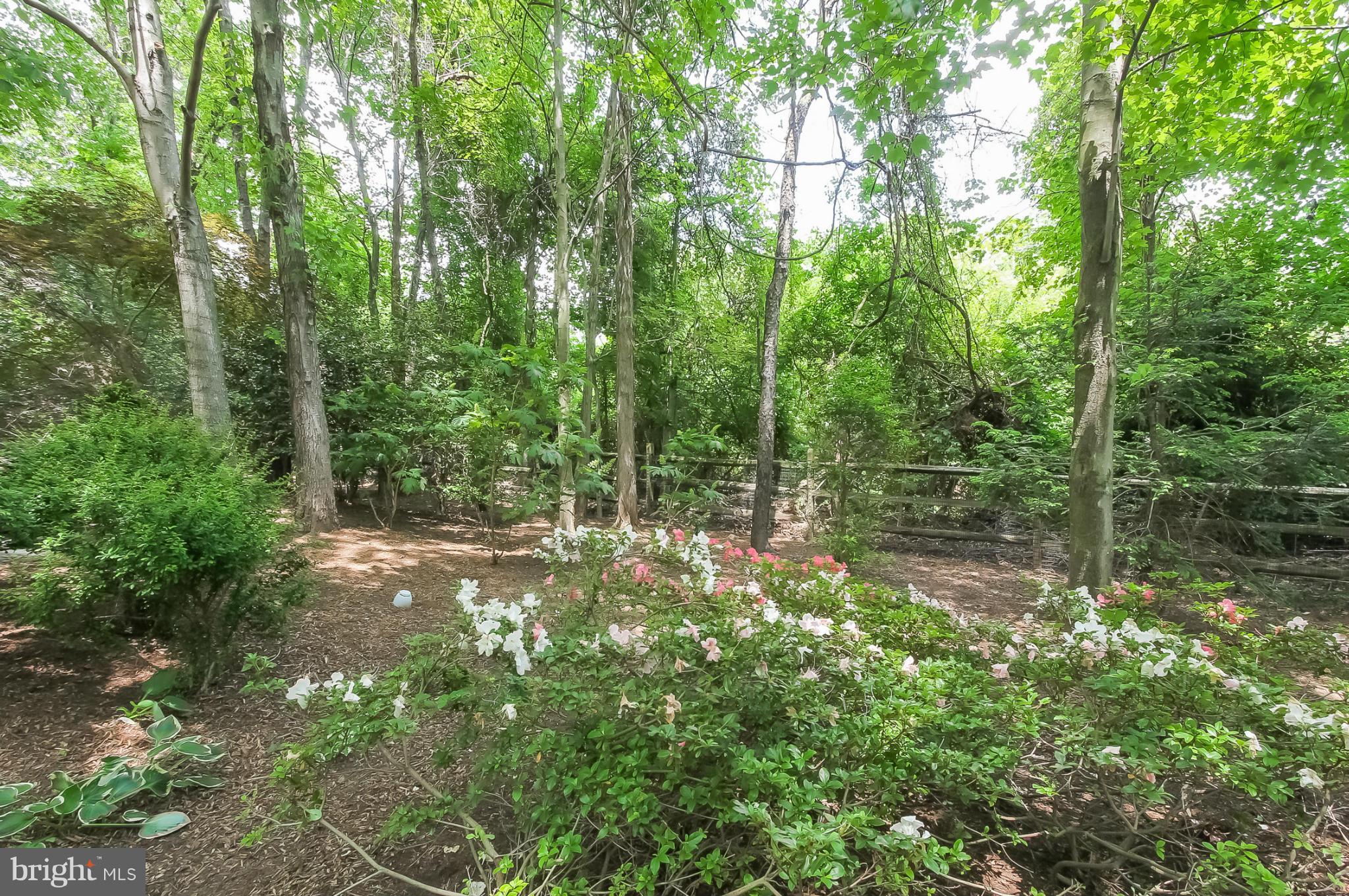 COLVIN MEADOW ESTATES - Residential