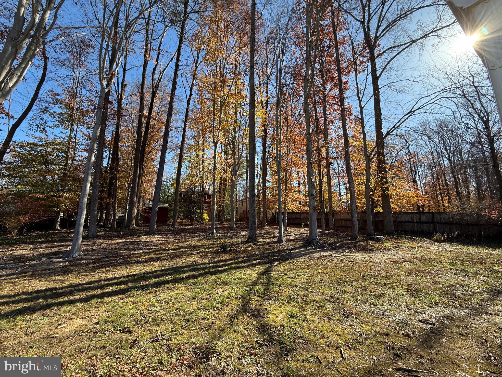 SPRINGBROOK FOREST - Residential