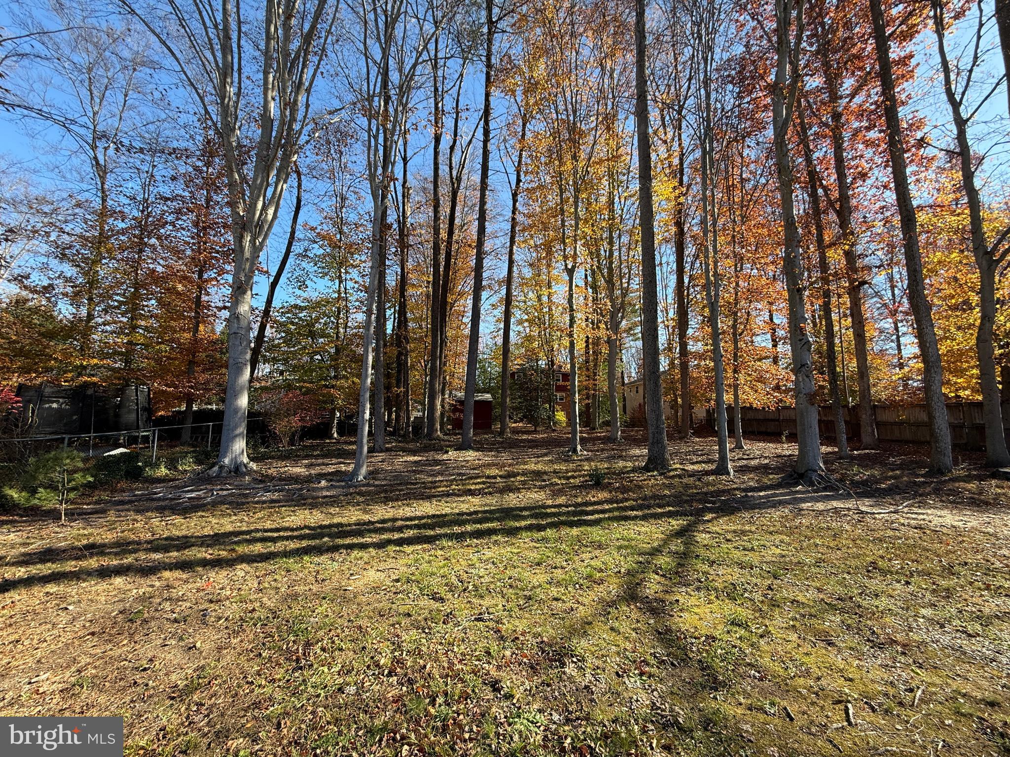 SPRINGBROOK FOREST - Residential