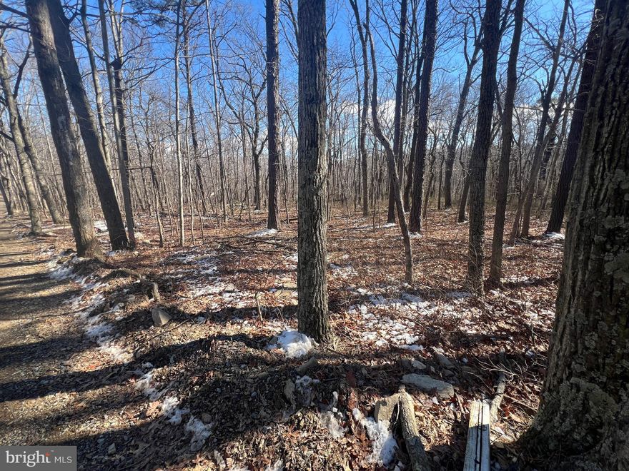 This lot is located right along Gazelle Trail. If you are looking for a great lot to build on, or a place to camp, this may be the Lot for you. It has not be used in years, so it will need some clearing. I marked the approximate corners at the street, but it should be surveyed for accuracy. The sign is about midway in the front of the lot. Please call me with any questions. You can look any time.