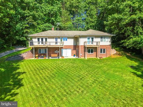 Homes For Sale - 46 Rock Ridge Lane<br/> Rappahannock County, CHESTER GAP, VA 22623
