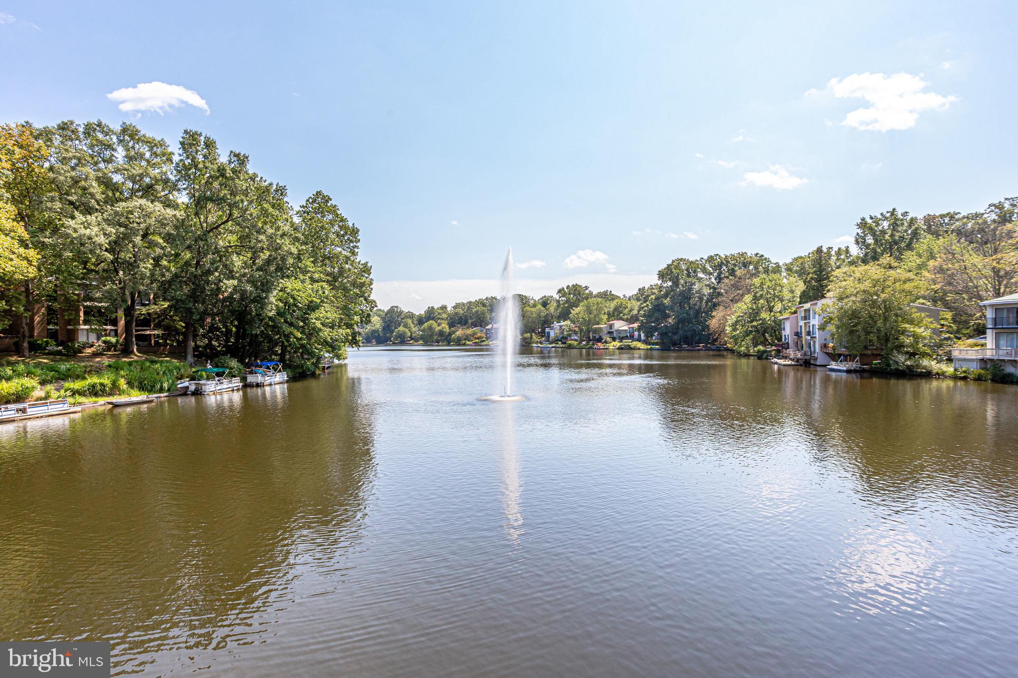 LAKE ANNE OF RESTON - Residential