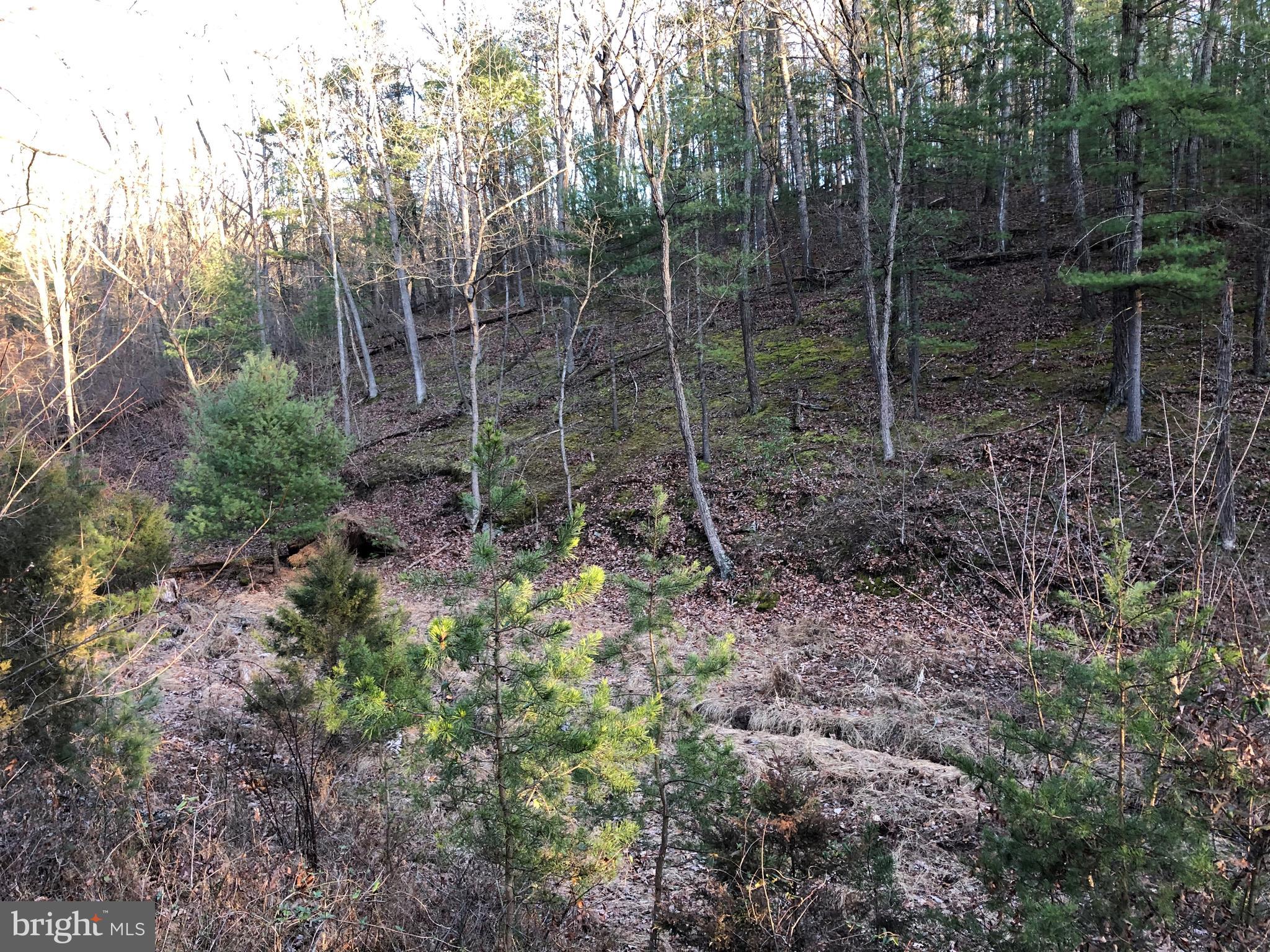 SHEN SKI AND HUNT CLUB - Residential