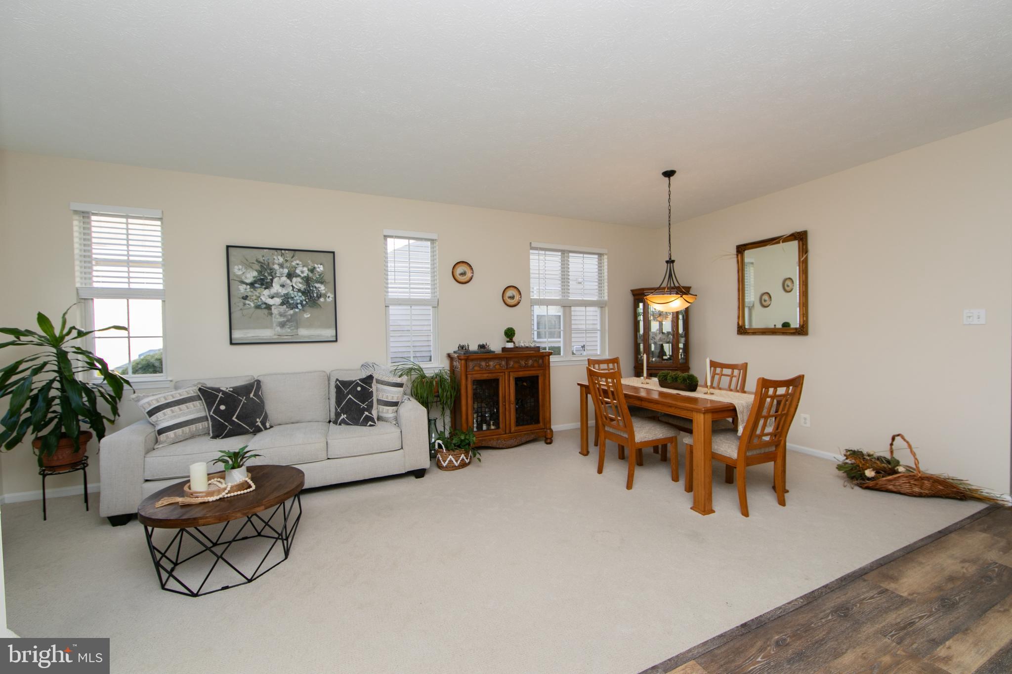 232 SNOWY EGRET LANE