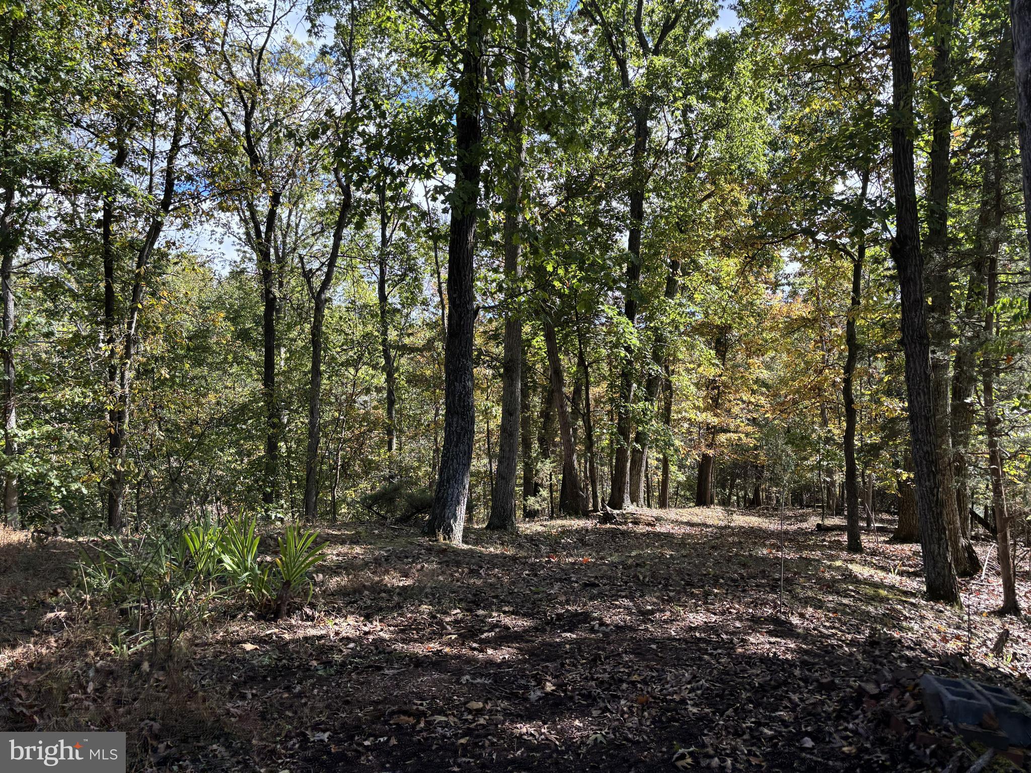 THREE RUN WOODS - Residential