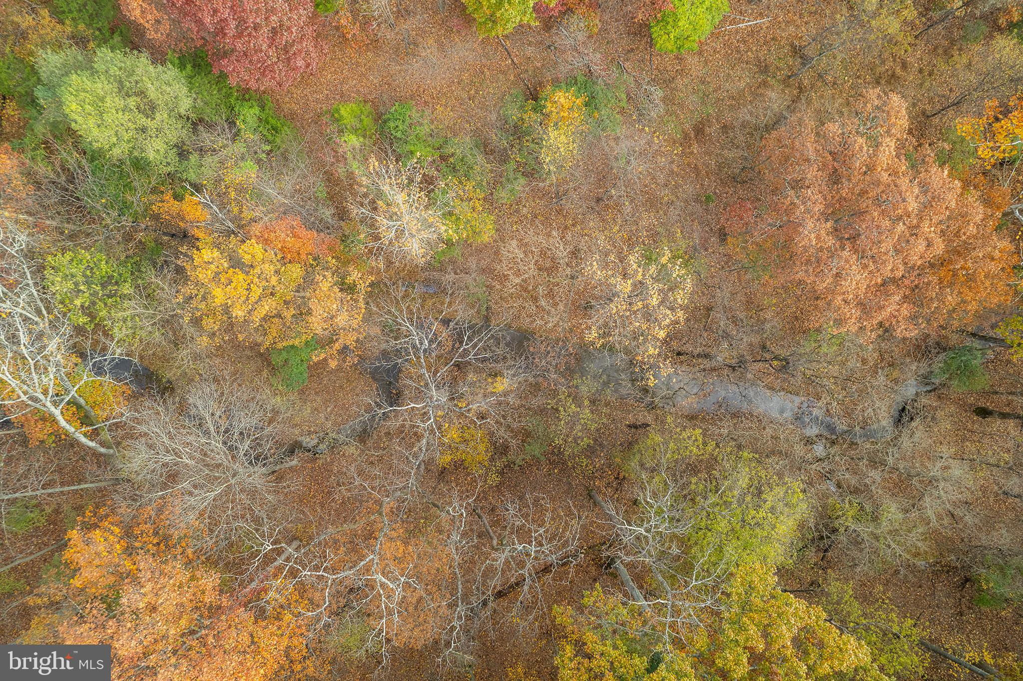 THREE RUN WOODS - Residential