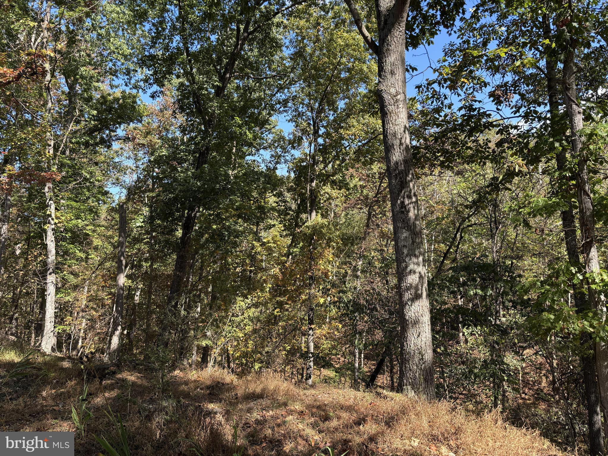 THREE RUN WOODS - Residential