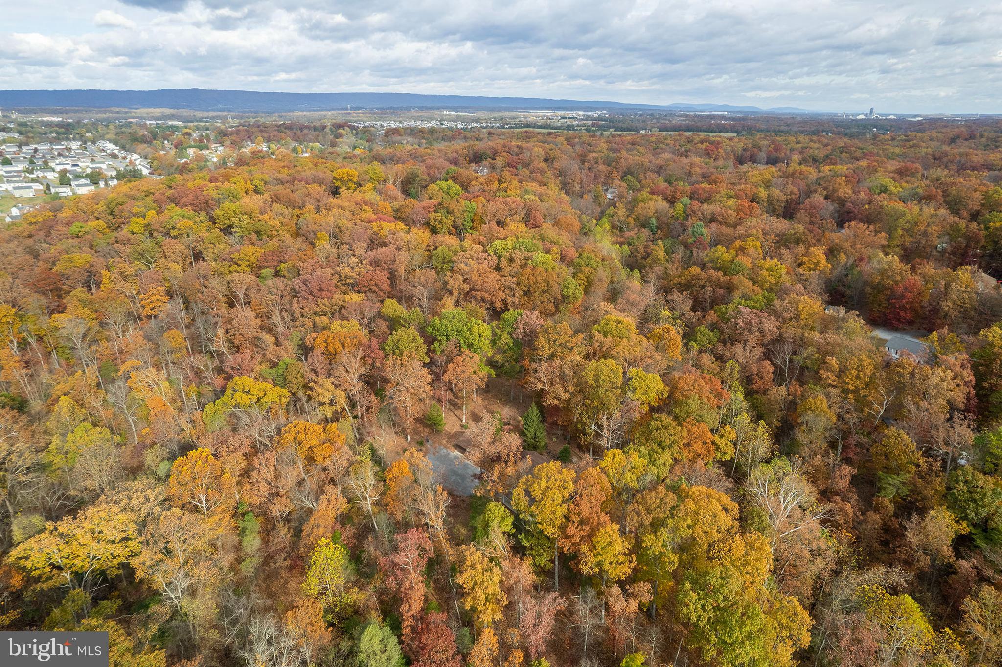 THREE RUN WOODS - Residential