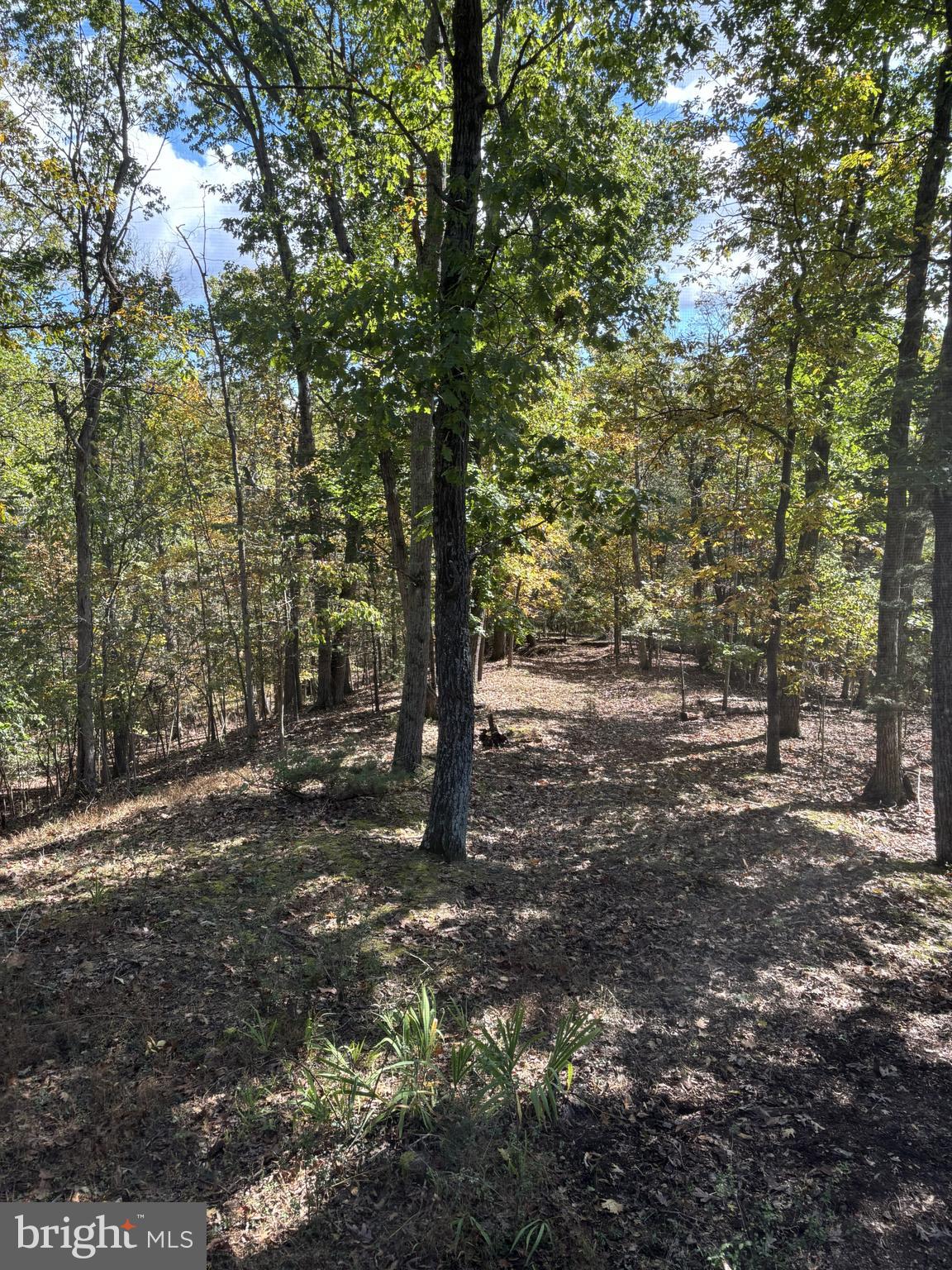 THREE RUN WOODS - Residential