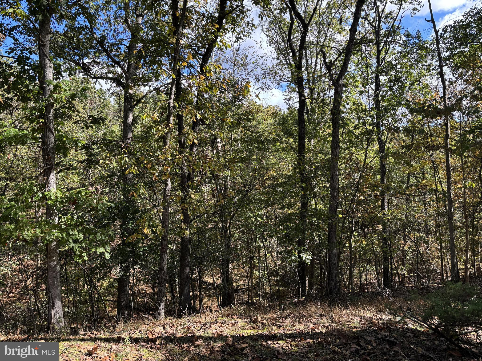 THREE RUN WOODS - Residential