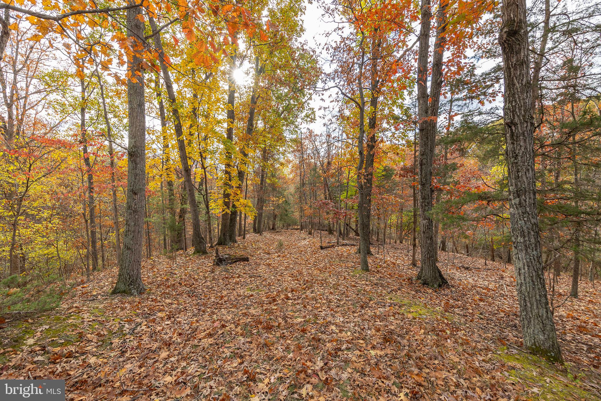THREE RUN WOODS - Residential