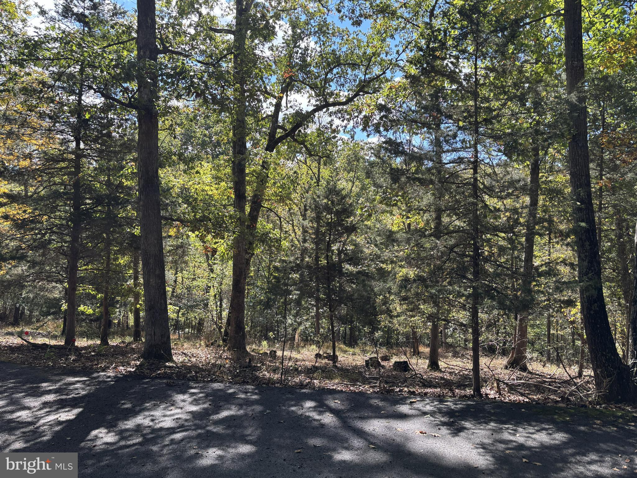 THREE RUN WOODS - Residential