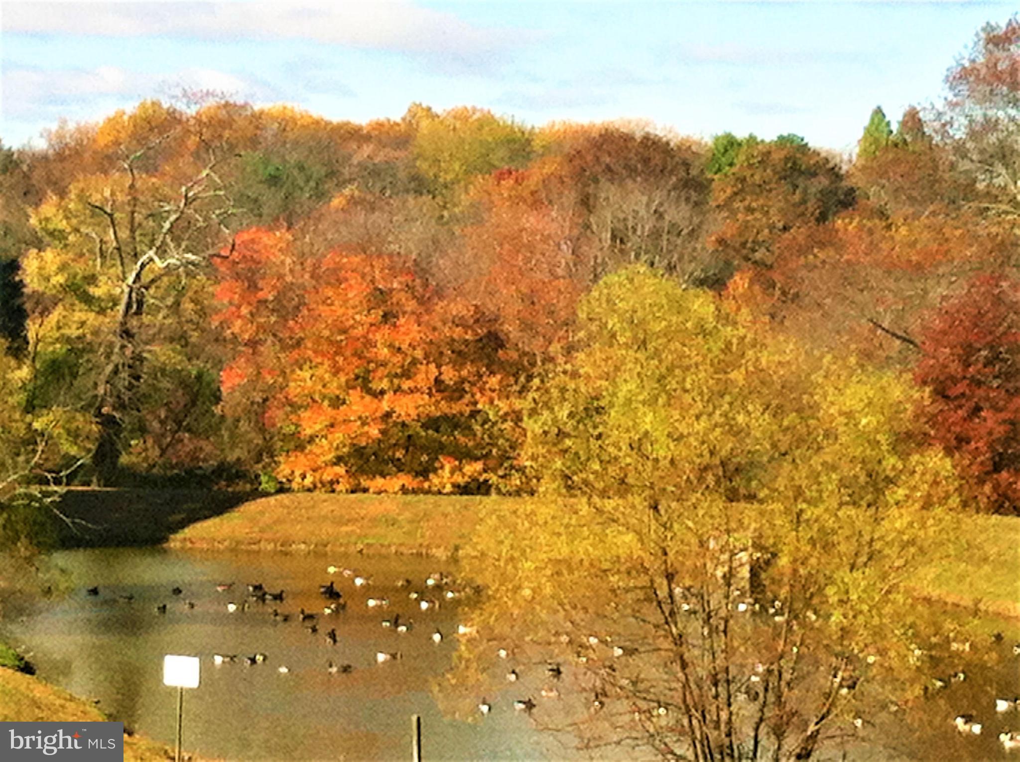 ASHTON VILLAGE - Residential
