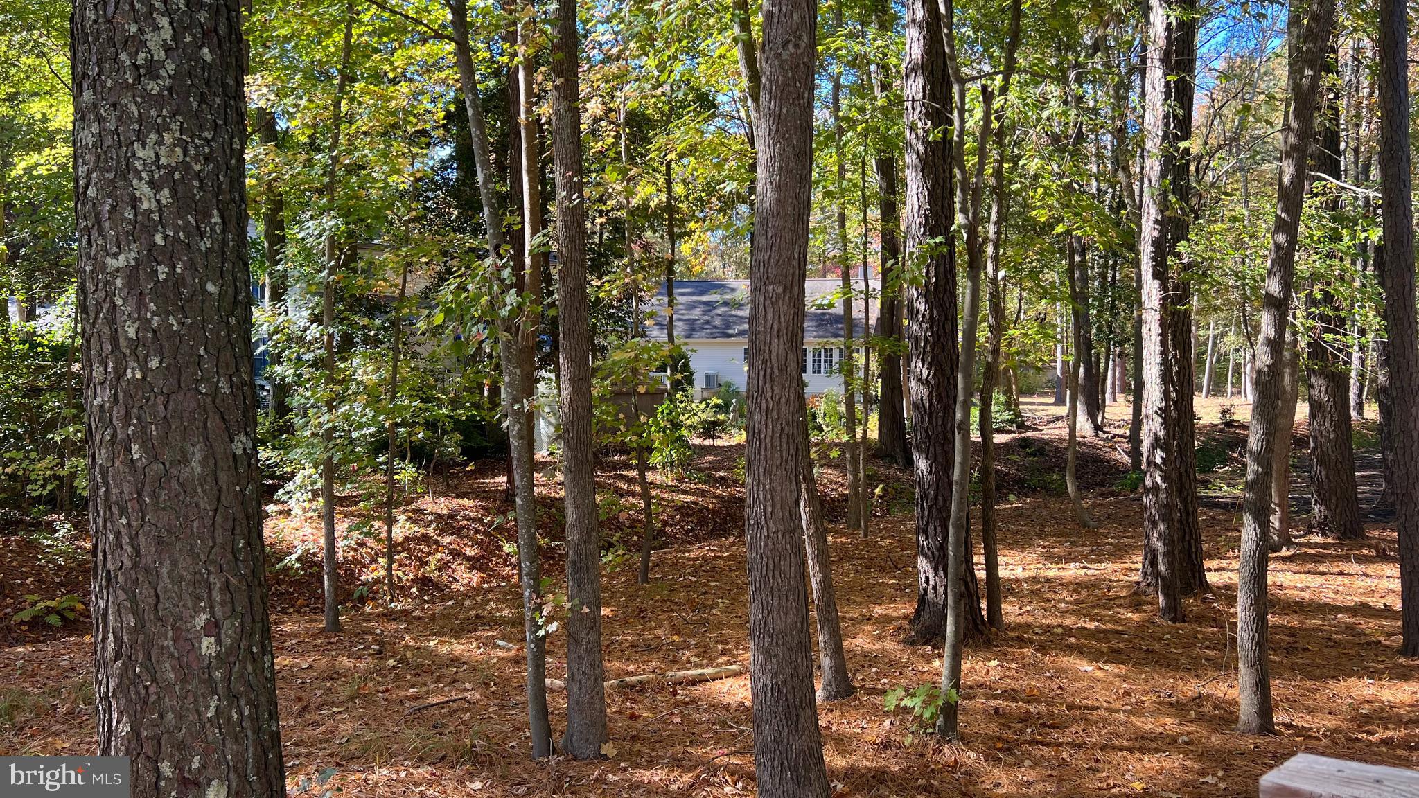 OCEAN PINES - SEABRIGHT - Residential