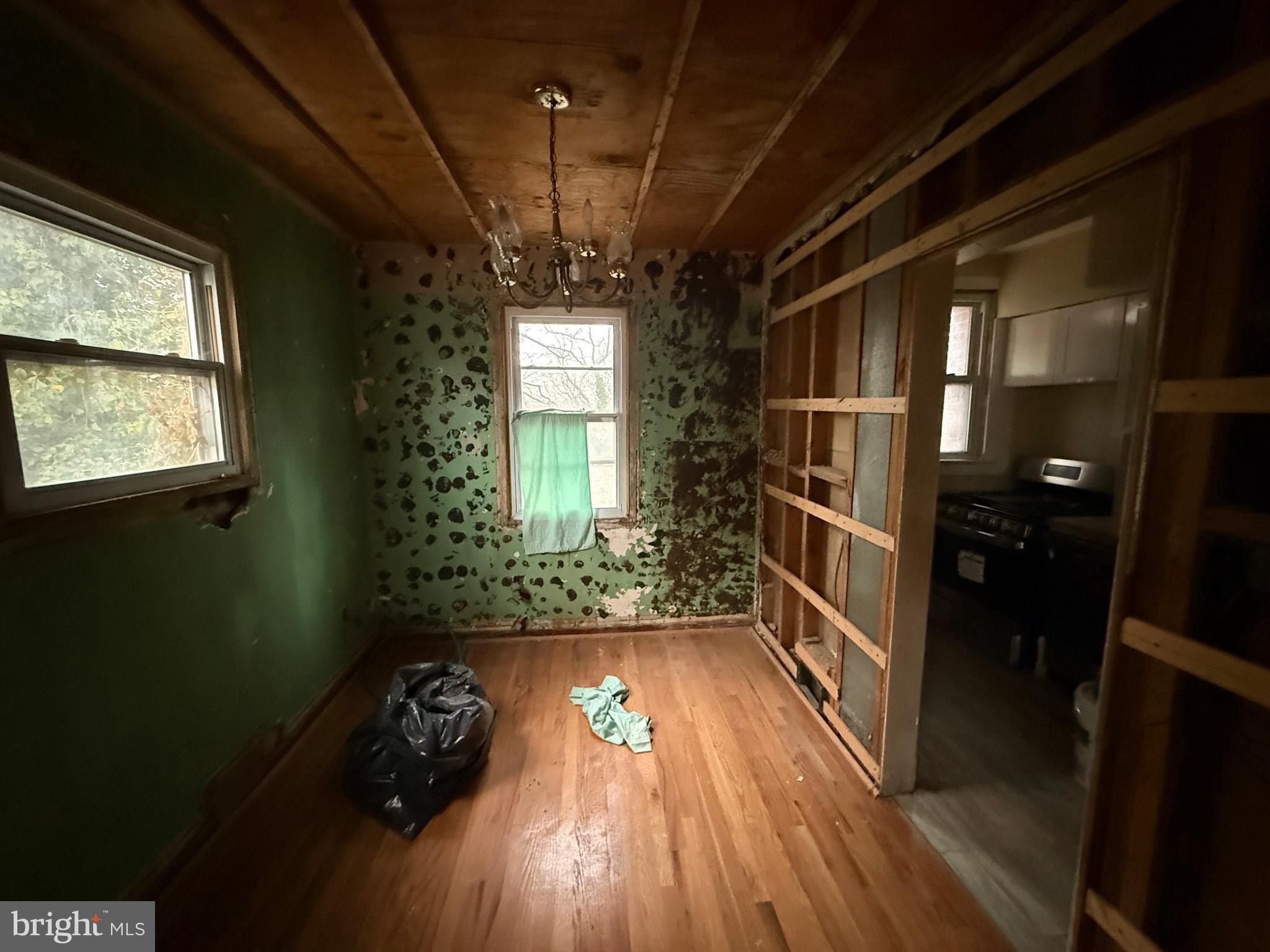 427 BRANDYWINE STREET SE