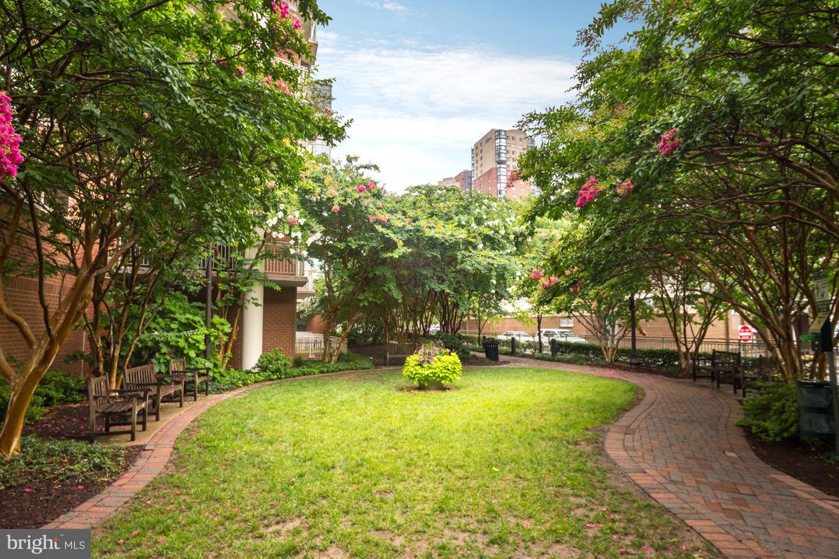 BALLSTON - Residential Lease
