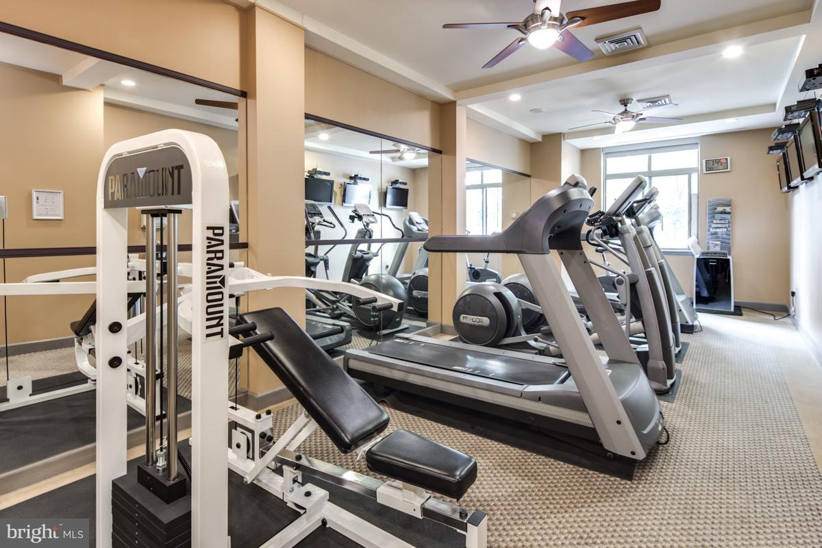 BALLSTON - Residential Lease