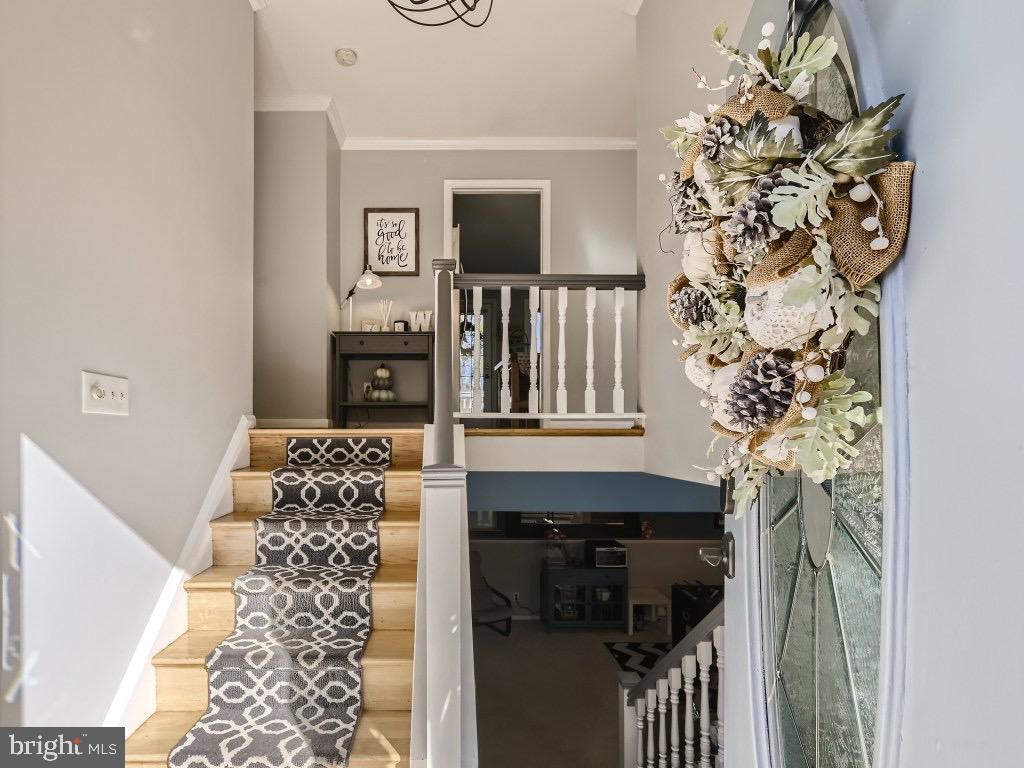 ROLLING GREEN - Residential