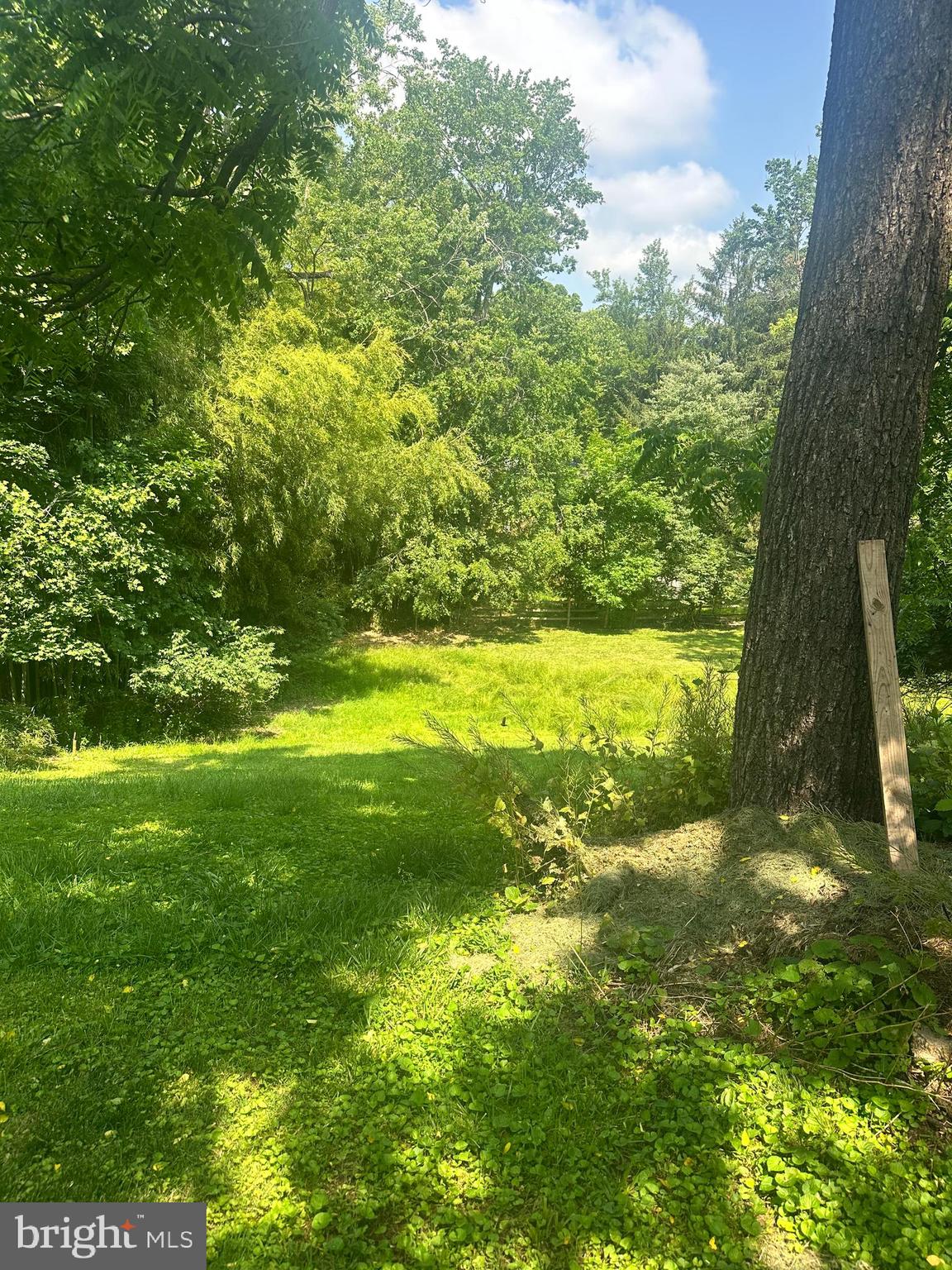 8406 BEREA DRIVE