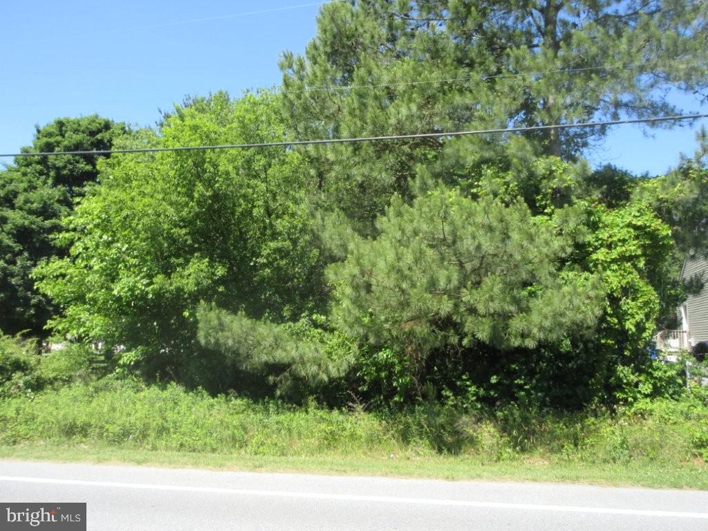 LOT 20 CALLAWAY AVENUE