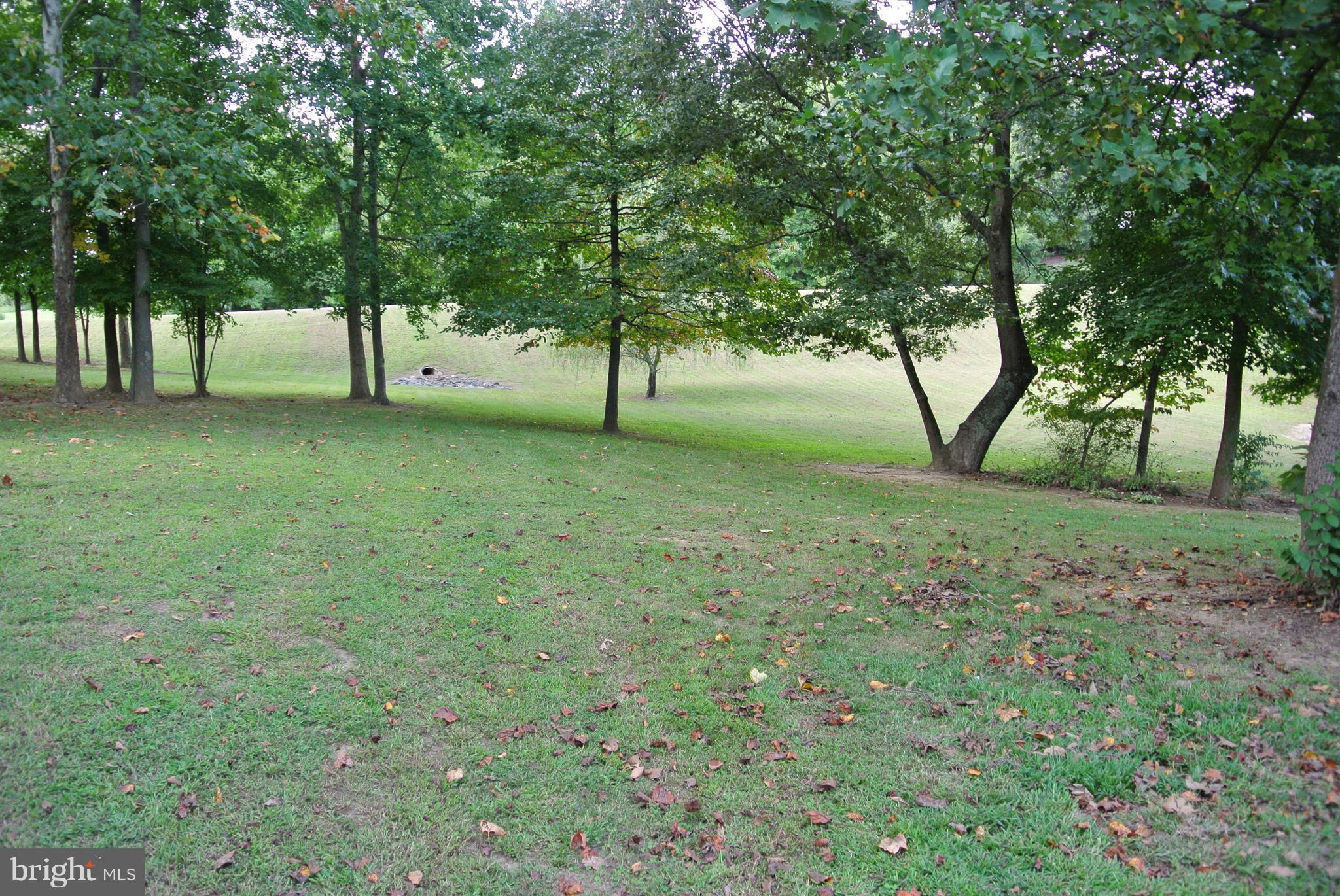 BENEDICT PLANTATION - Residential