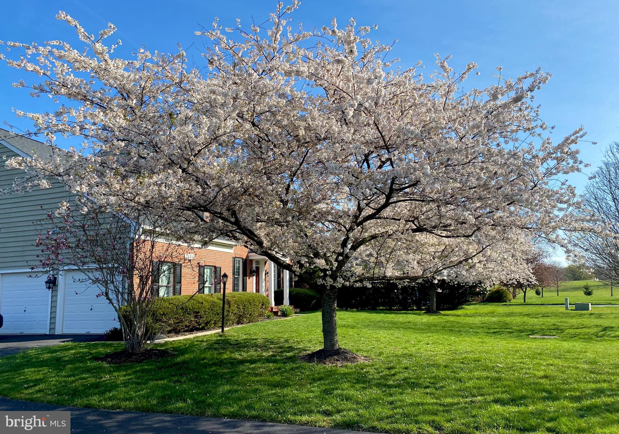 ASHLEIGH KNOLLS - Residential