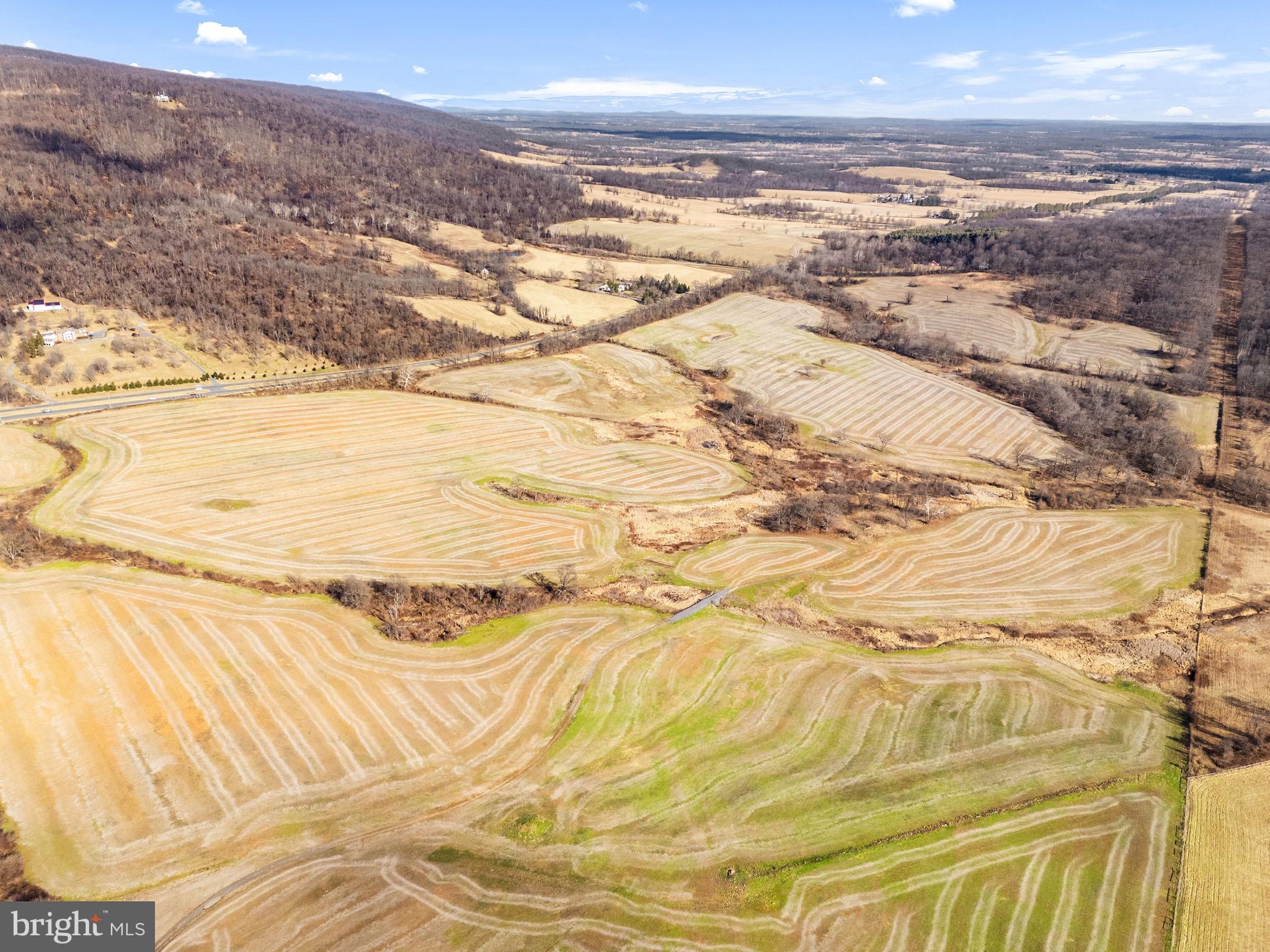 1041 WINCHESTER ROAD