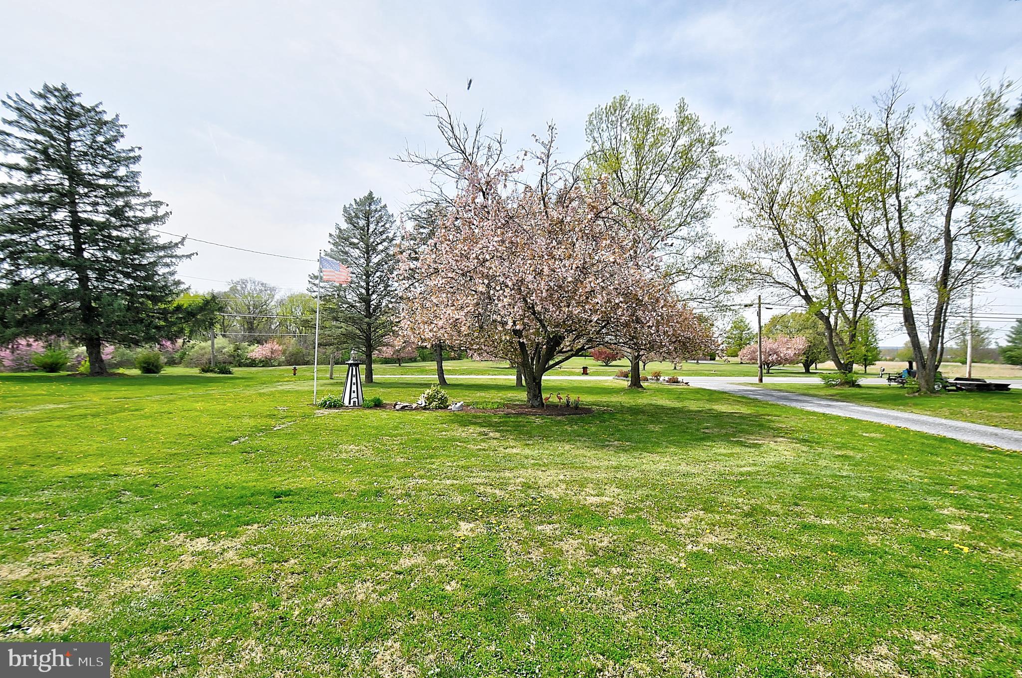 J WAYNE ADAMS - Residential