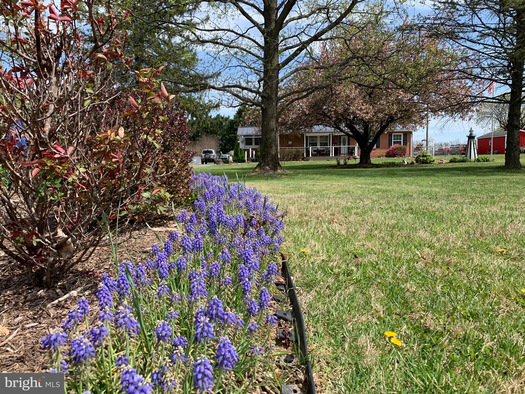 J WAYNE ADAMS - Residential