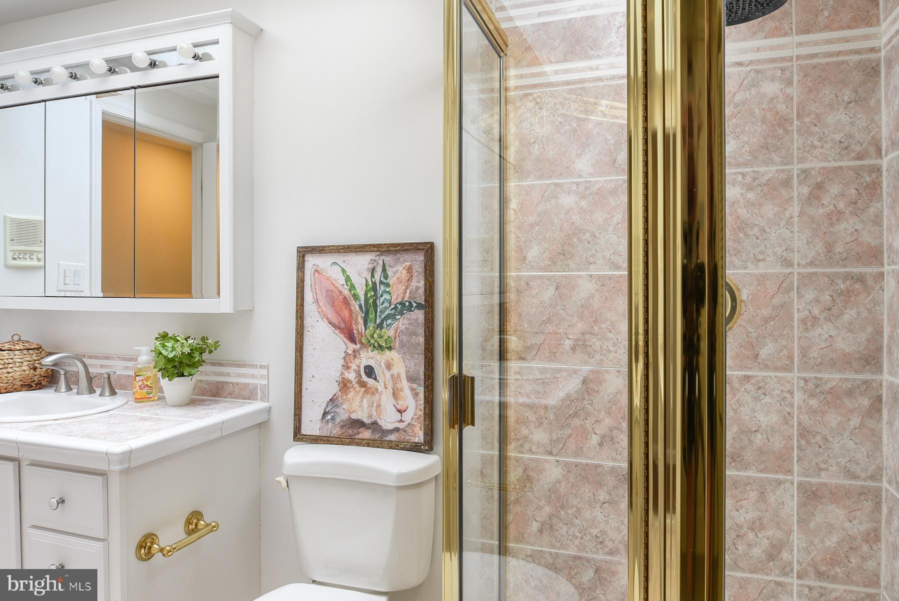 ROSEMONT PARK - Residential