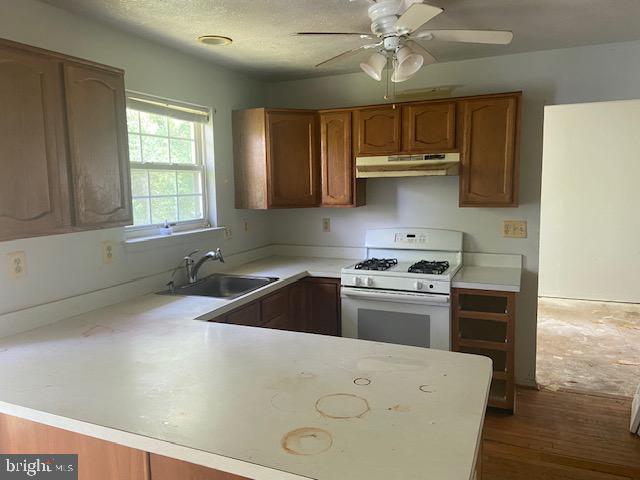 DENNIS - Residential