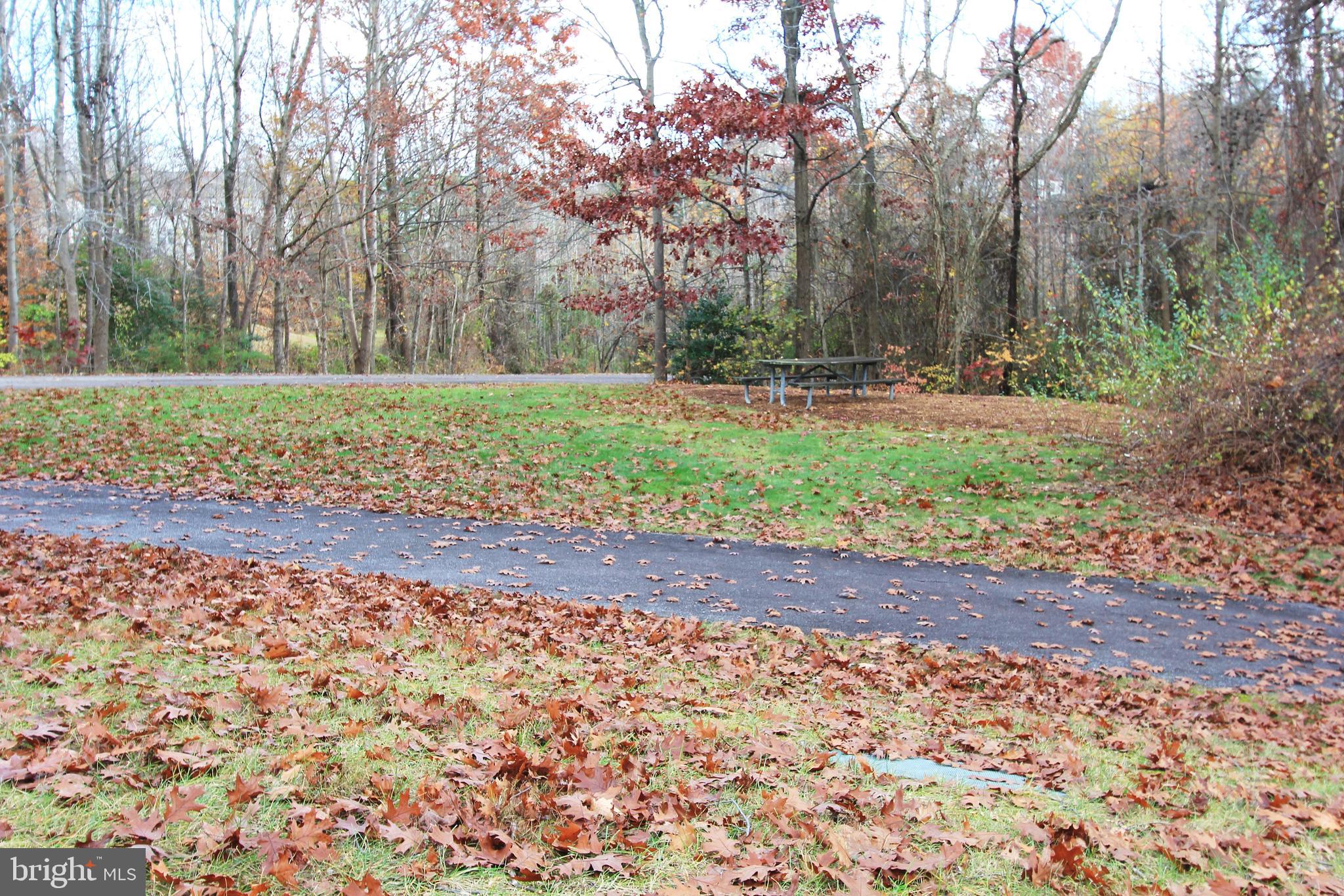 THE FOREST AT SOUTHRUN - Residential