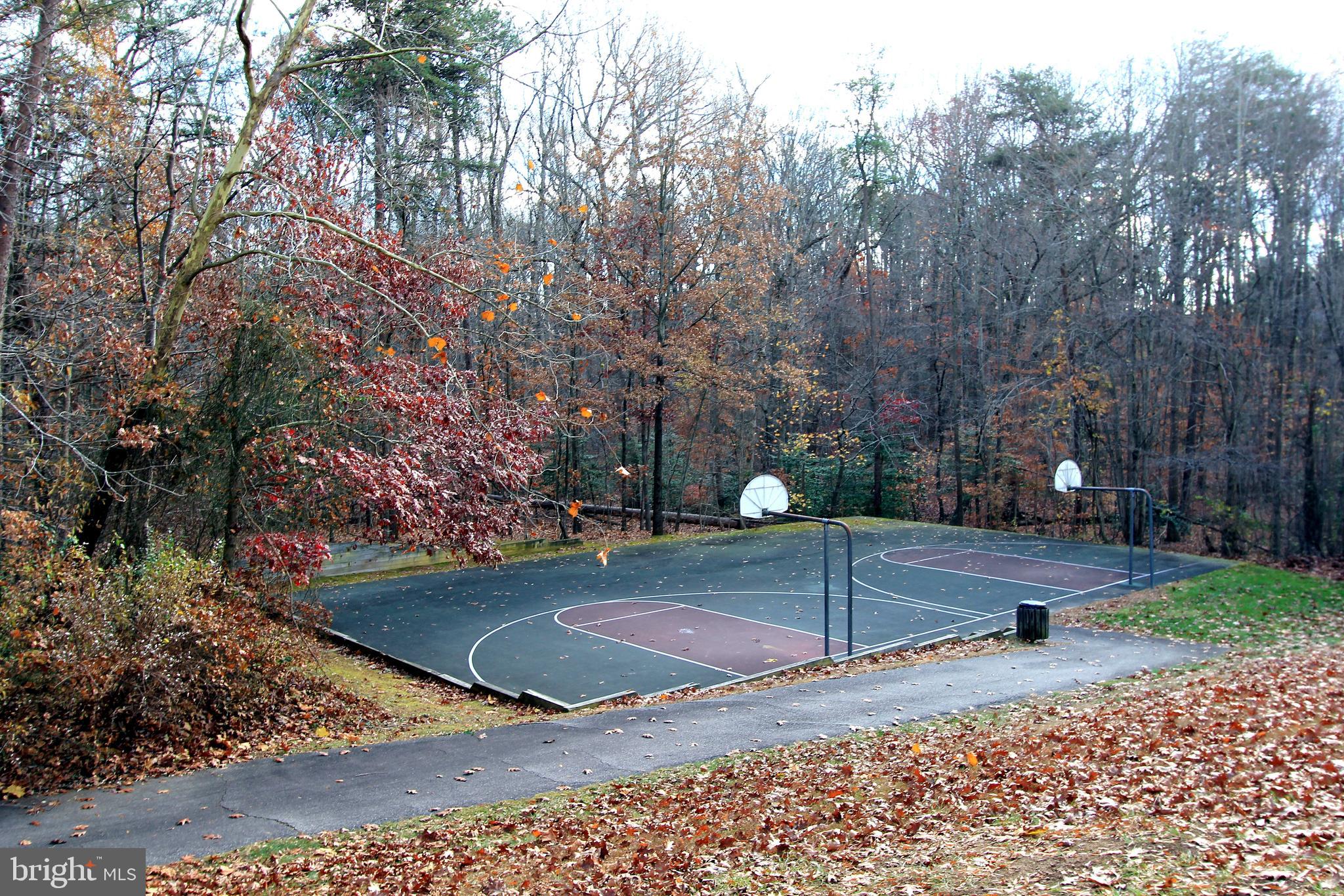 THE FOREST AT SOUTHRUN - Residential