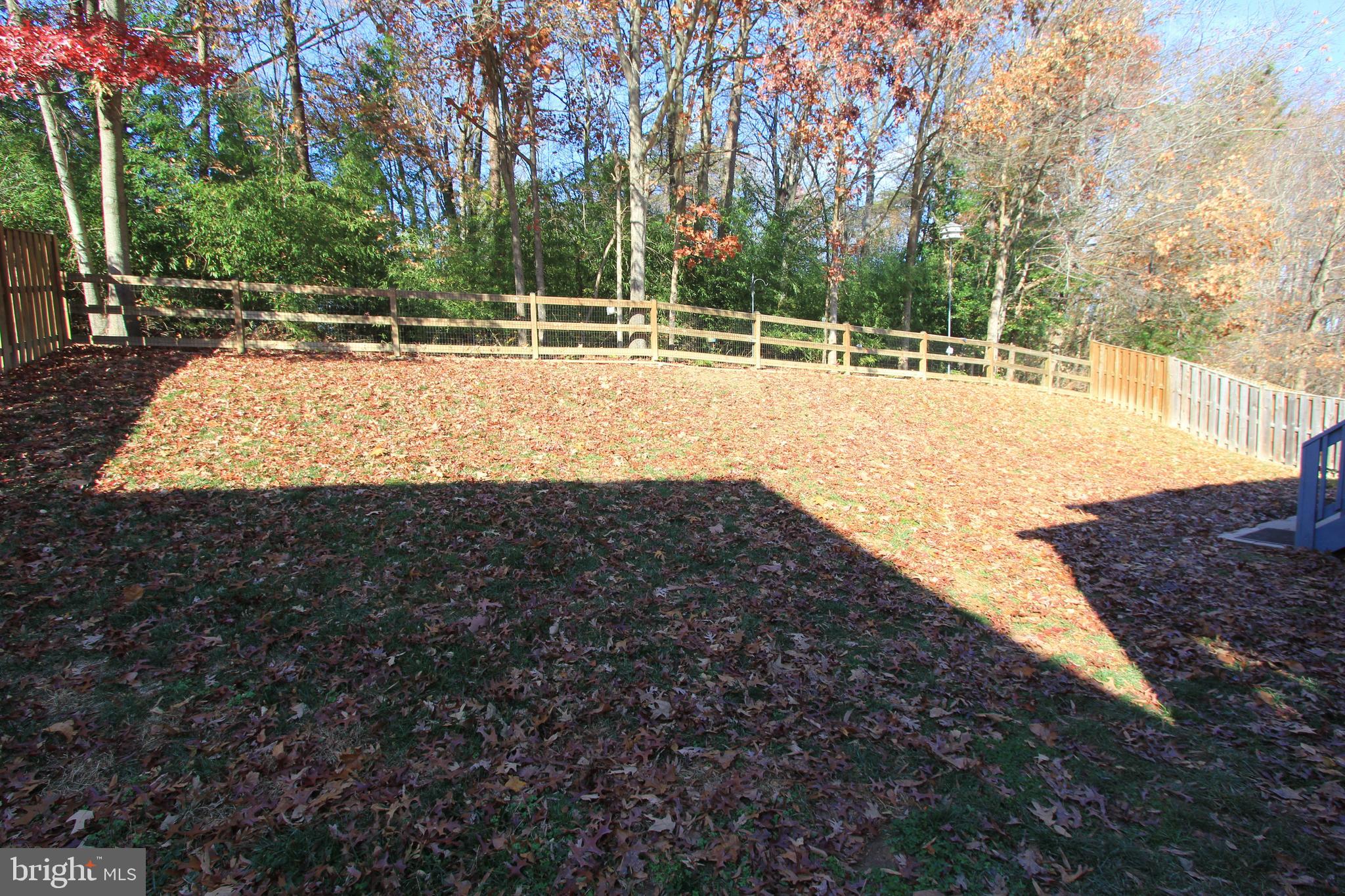 THE FOREST AT SOUTHRUN - Residential