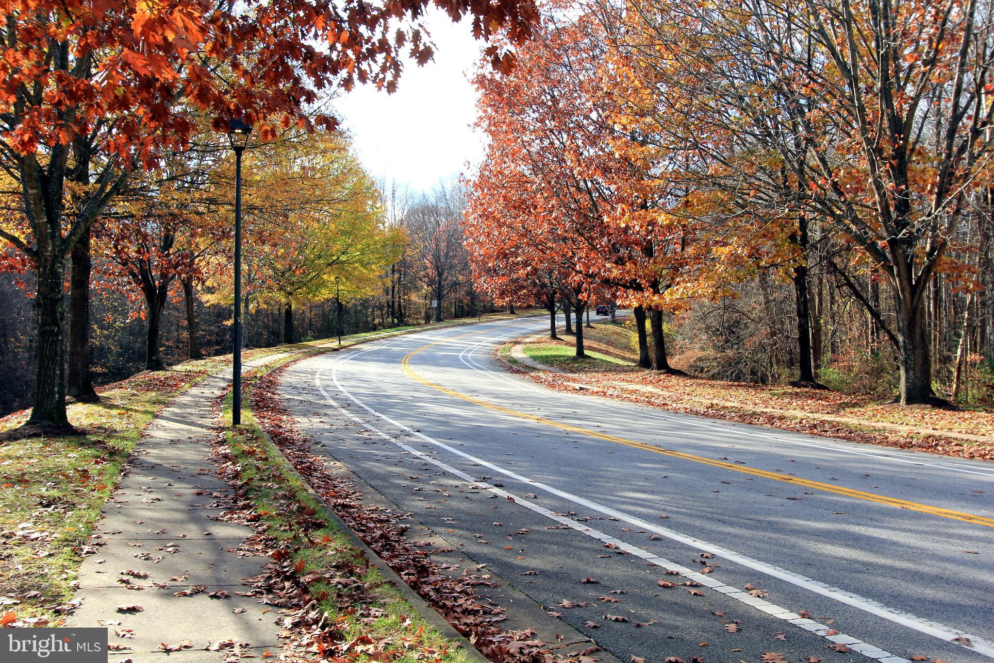 THE FOREST AT SOUTHRUN - Residential