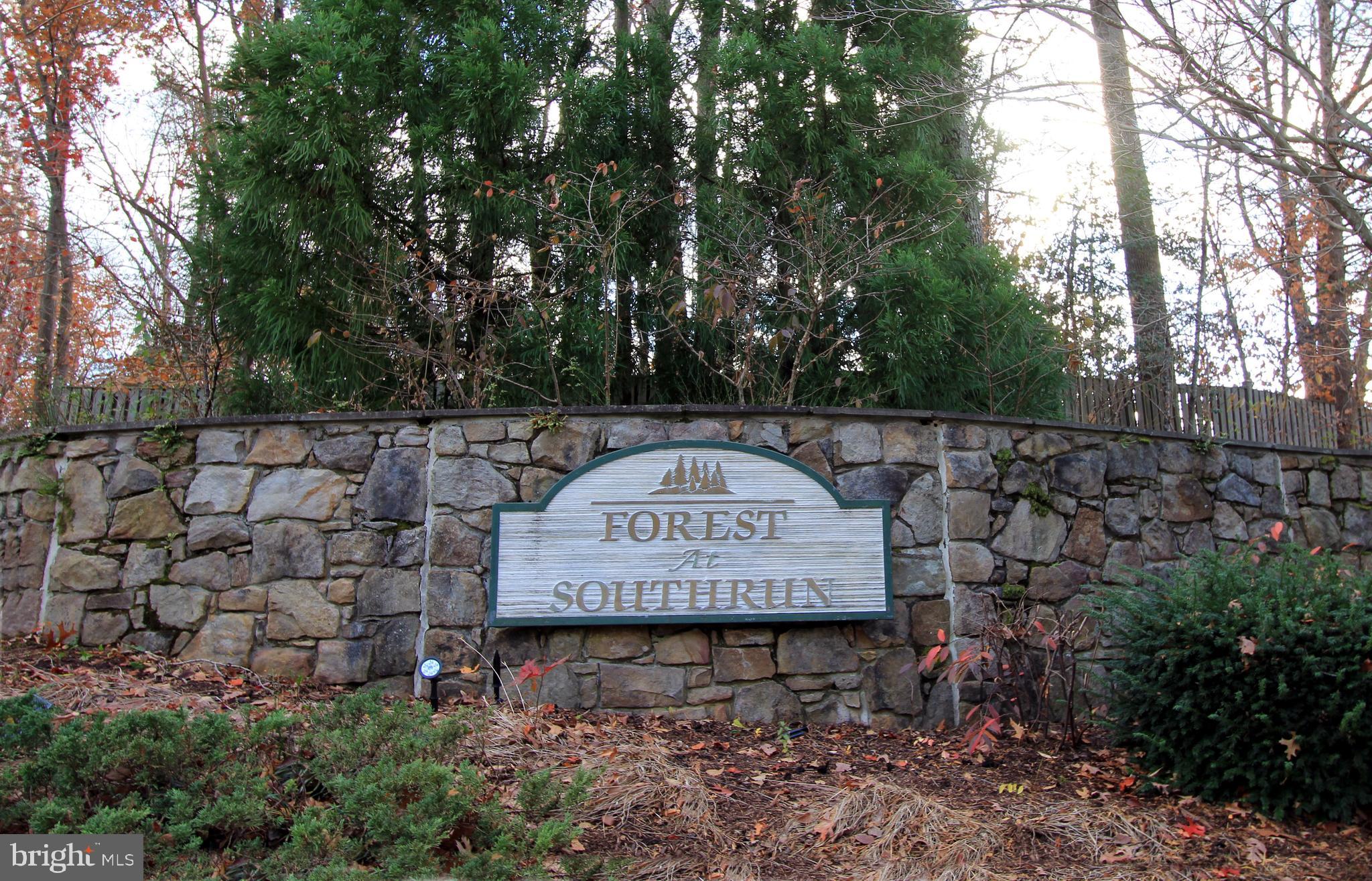 THE FOREST AT SOUTHRUN - Residential