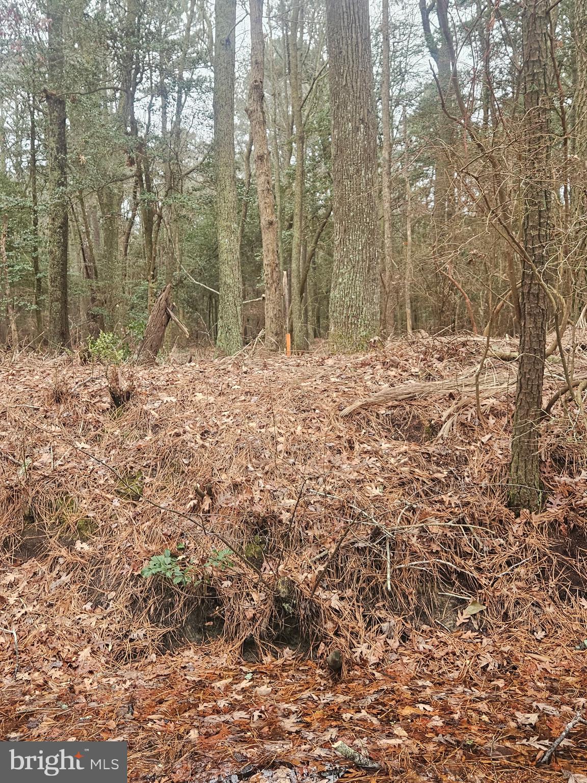 GOLF CLUB SHORES I - Residential