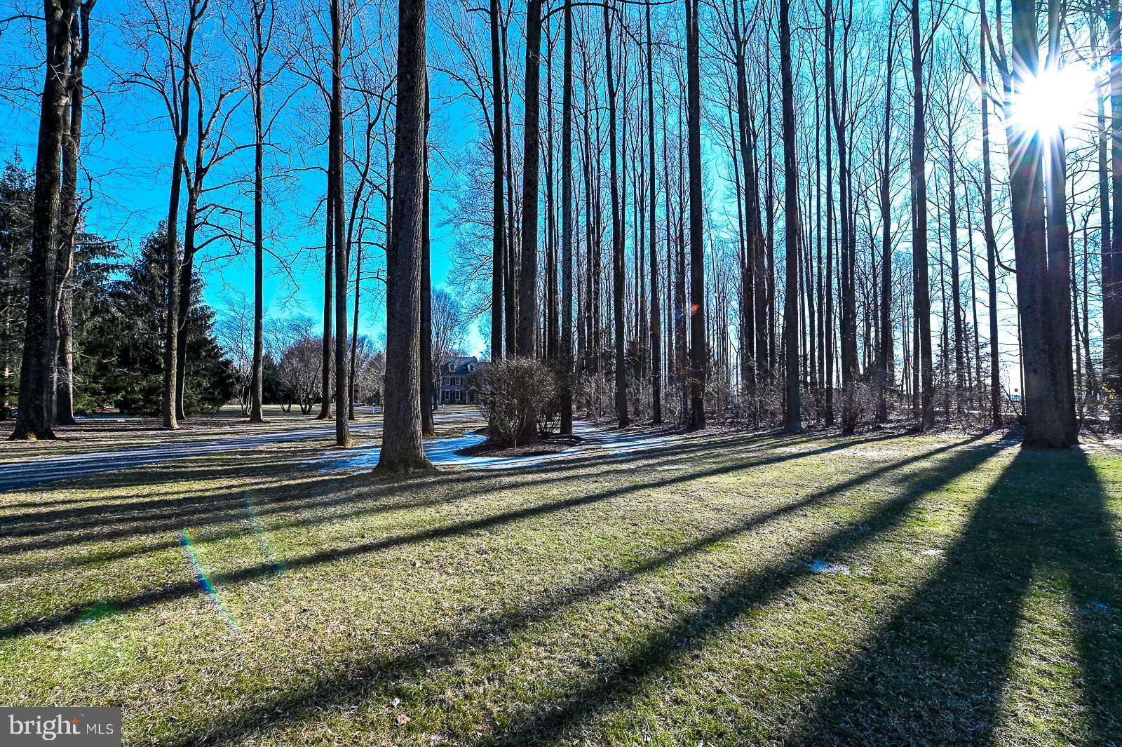 WHITEHORSE - Residential