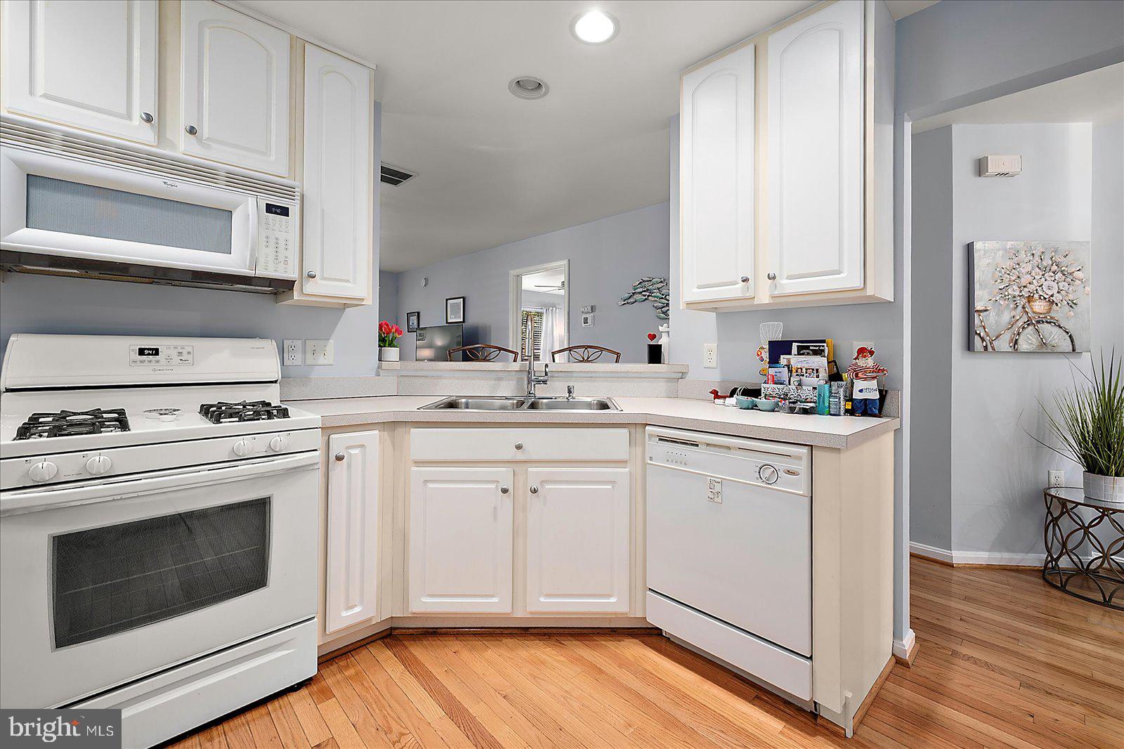 OCEAN PINES - THE PARKE - Residential