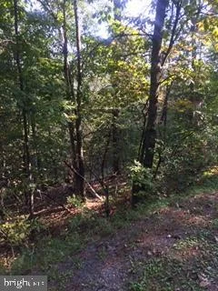 Lot 176 Hogan Drive, Basye, VA 22810