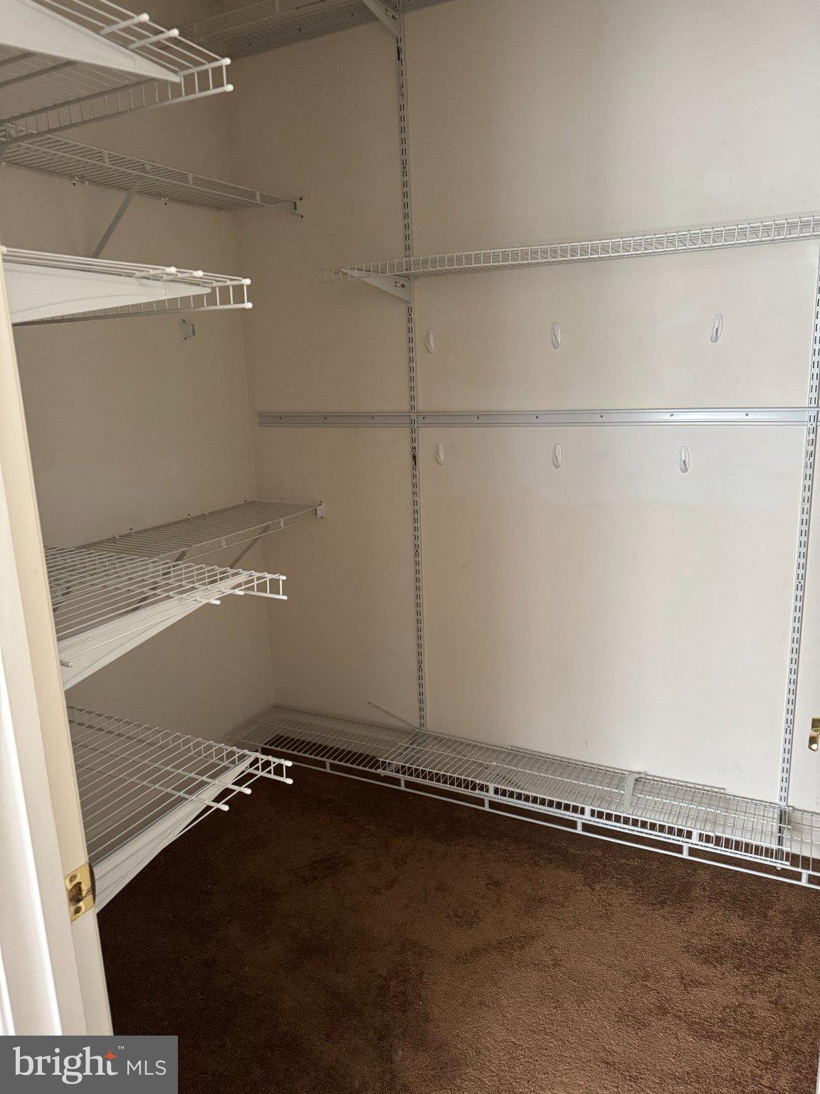 ADAMSTOWN COMMONS - Residential Lease