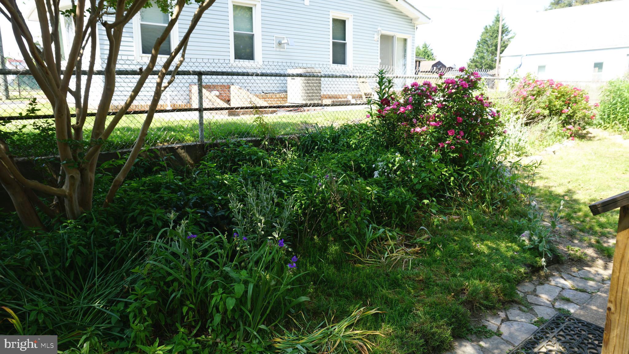 CLEARWATER BEACH - Residential
