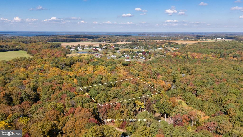 Photo of 401 Dulin Clark Road, CENTREVILLE, MD 21617 (MLS # MDQA2015446)