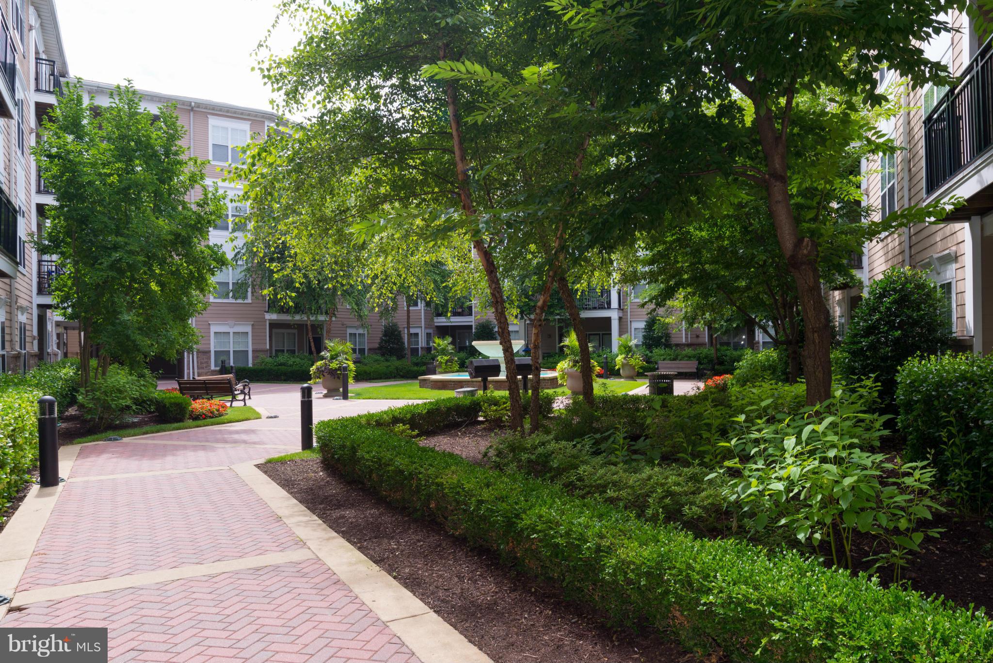 FITZ AT ROCKVILLE TOWN C - Residential