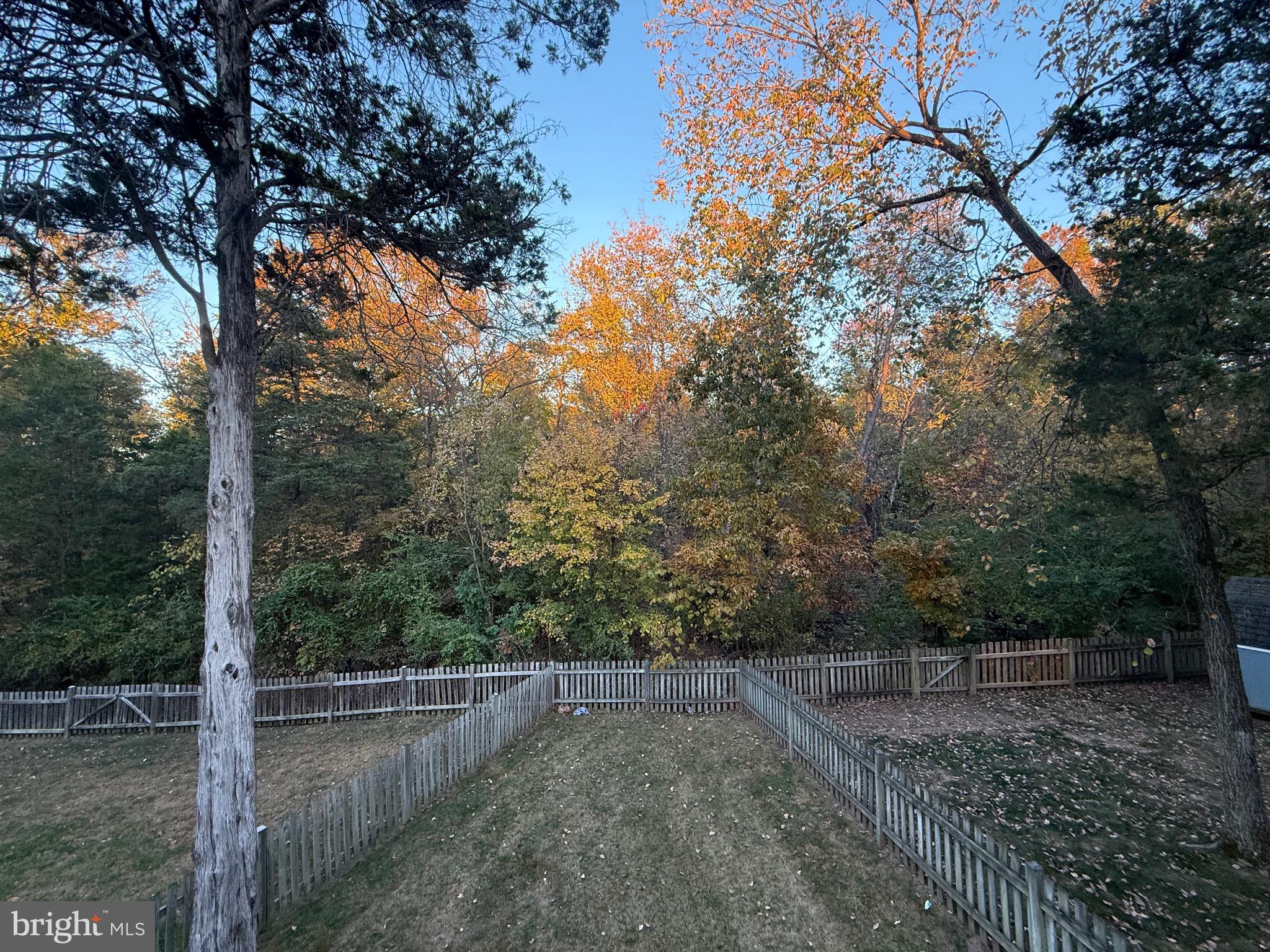 INDEPENDENCE - Residential Lease