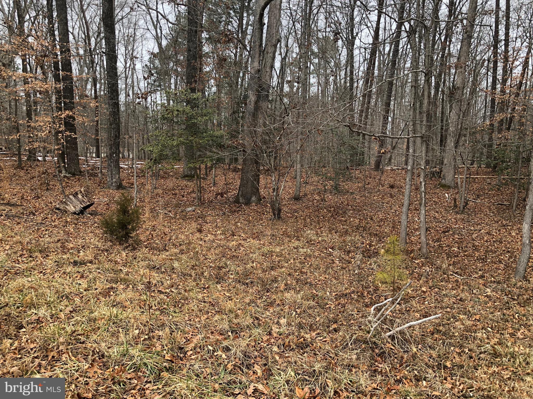 NONE AVAILABLE - Land