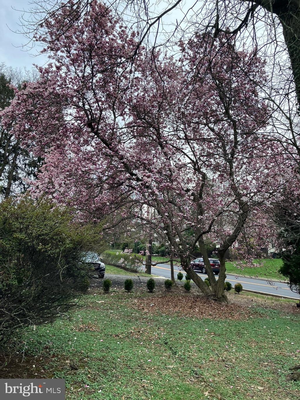 Photo of 409 N Pine Street, LANGHORNE, PA 19047 (MLS # PABU2107430)