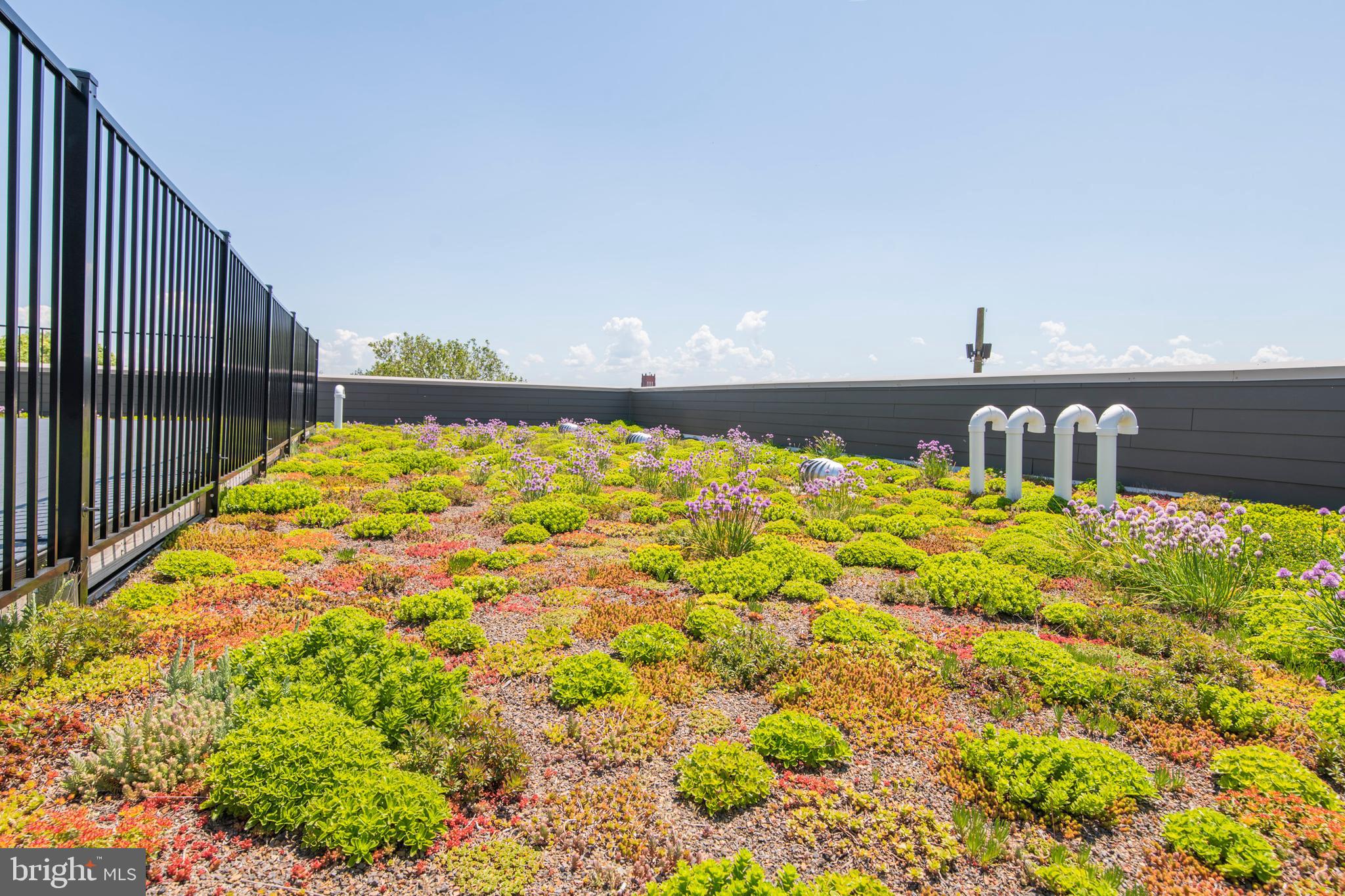 PASSYUNK SQUARE - Residential Lease