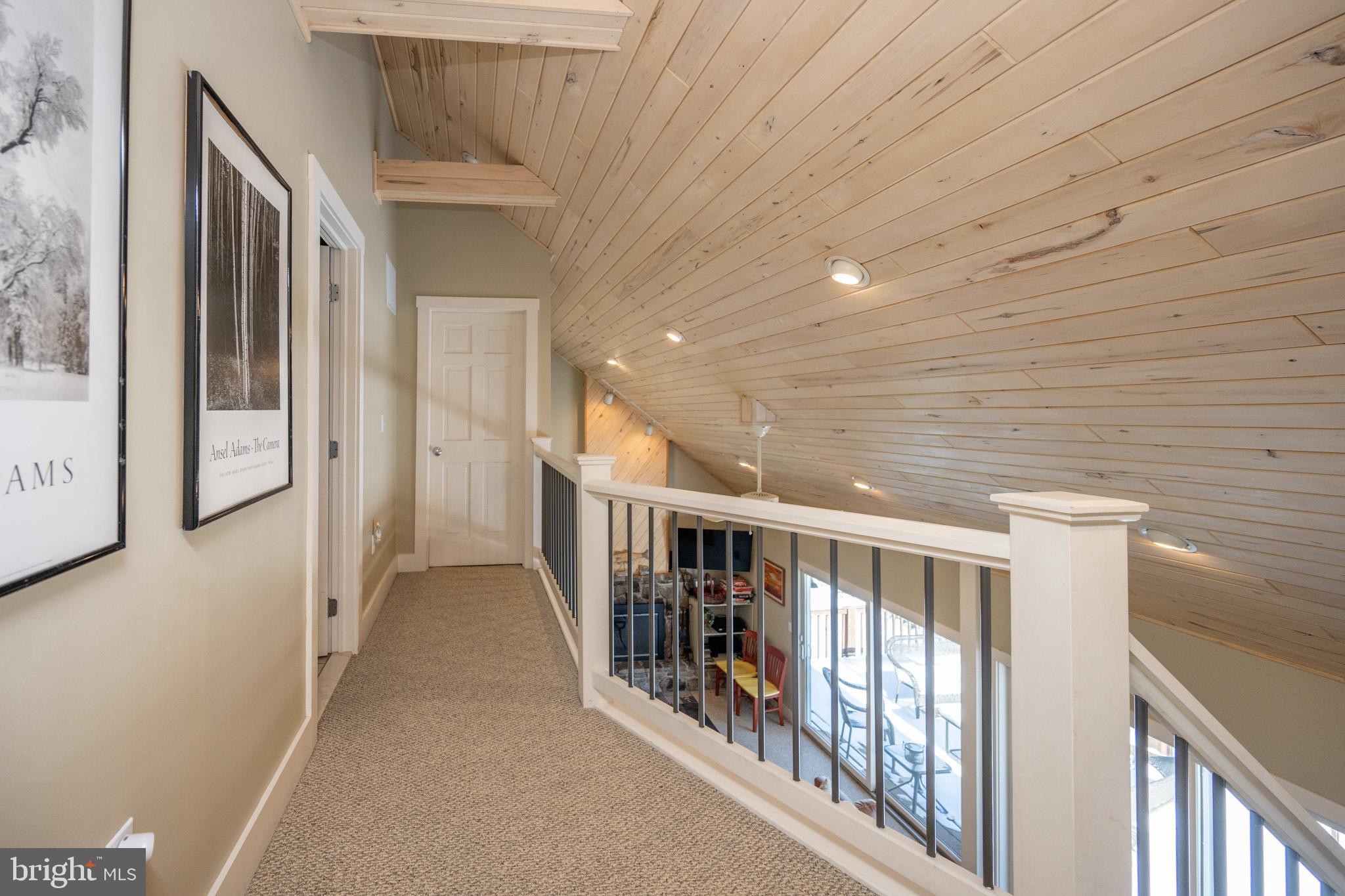 SHINGLE CAMP TERRACE - Residential