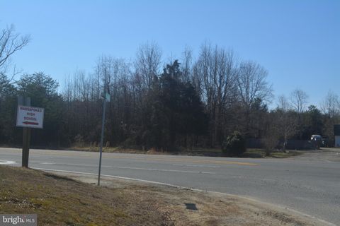 Vacant Land For Sale - Patriot Highway<br/> FREDERICKSBURG, VA 22407